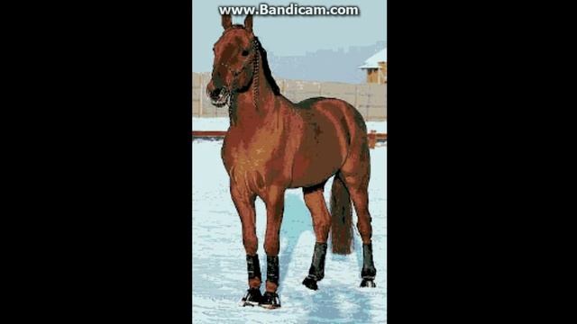 Рыжий конь (не сделано в слайд-шоу) собственое! смотреть онлайн