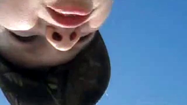 Выпуск второй. Ловля плотвы летом на хлеб и червя. смотреть онлайн