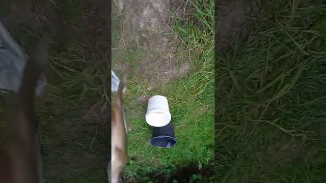 рыбалка в 5 часов утра с хорошим уловом смотреть онлайн