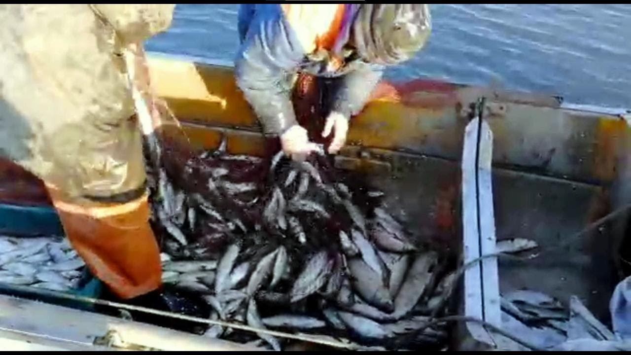 Осенняя Рыбалка на Индигирке часть 1 смотреть онлайн