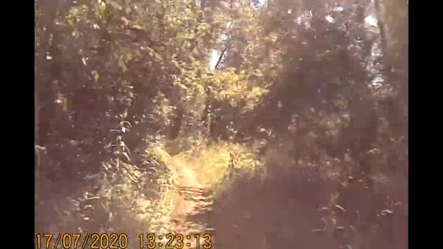 Дендрологический парк (велопокатушка 18.07.2020) смотреть онлайн