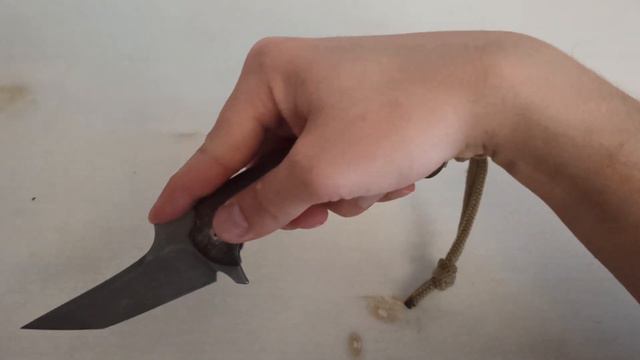 Итальянские истории Fox Bastinelli Geco