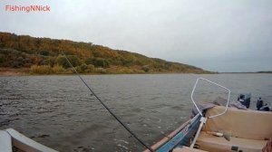 На троллинг клюют не только щуки. Рыбалка троллингом на Волге.