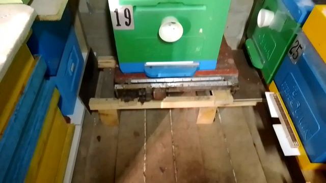 18.11.23. Заношу пчел в зимовник! Как будем зимовать? смотреть онлайн