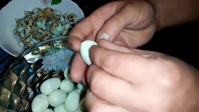 Перепела. Как бистро и качественно отварить и очистить перепелиное яйцо.