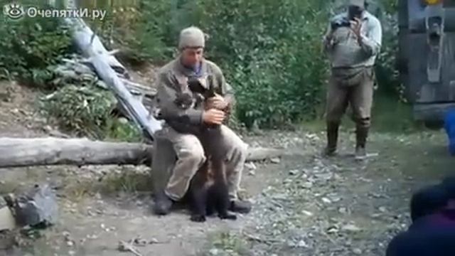 Ручная росомаха смотреть онлайн