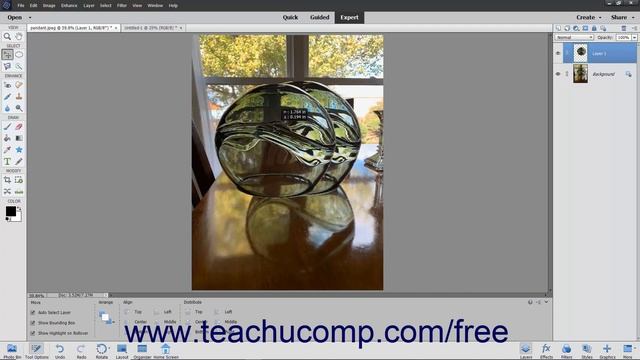 Learn How to Copy and Paste Pixel Selections in Adobe Photoshop Elements 2022: A Training Tutorial смотреть онлайн