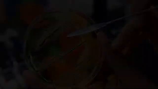 News Jul 25th 2020 12:05 pm seeks with iPhone Models, Glass, MacBook Events Gadgets OnePlus Nord смотреть онлайн