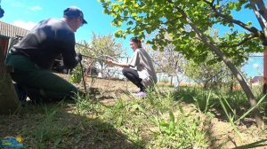 Бюджетный ПАРНИК из подручных материалов СВОИМИ РУКАМИ