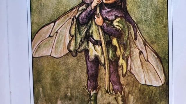 Green Witch Wisdom in Fairy Books | Simple Knowledge for Green Witches смотреть онлайн