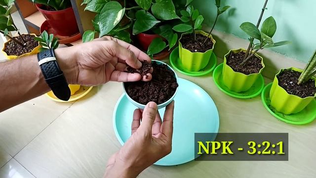 Best NPK fertilizer for Seedling and Germination смотреть онлайн