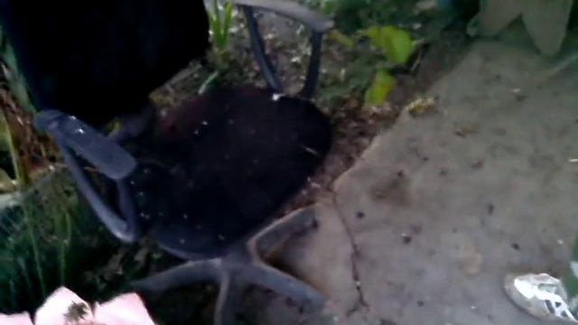 Испытание меча смотреть онлайн