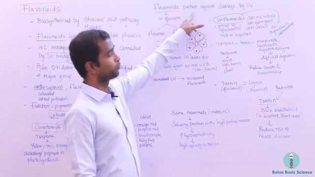 Flavonoids | Secondary Metabolites | CSIR | NEET | GATE | LIFE SCIENCES | BALAN BASIC SCIENCE смотреть онлайн