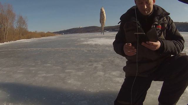 С ДНЕМ ЗАЩИТНИКА ОТЕЧЕСТВА смотреть онлайн