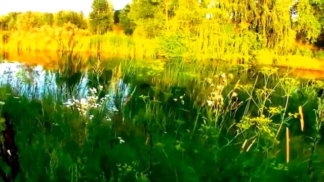 ЖИВОПИСНАЯ УКРАИНА .ОЗЕРО ВОЗЛЕ СЕЛА  СЕНЬКОВКА   КИЕВСКАЯ ОБЛАСТЬ  БОРИСПОЛЬСКИЙ РАЙОН