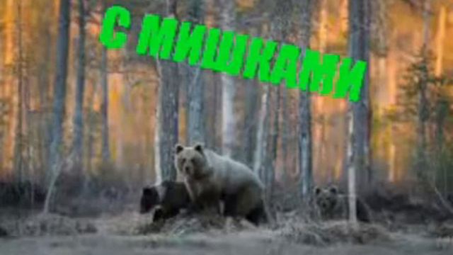 МОЁ ПУТЕШЕСТВИЕ:3 смотреть онлайн