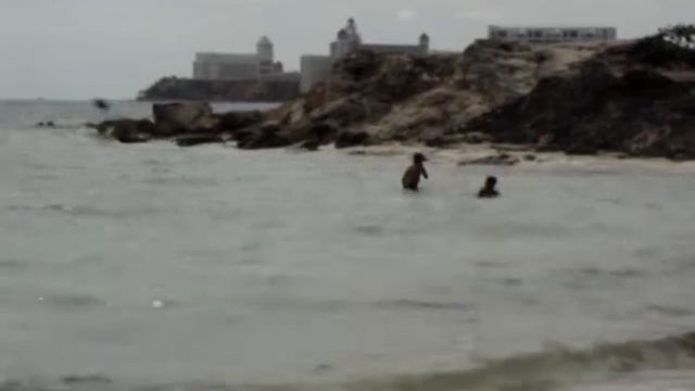 Playa Tortugas, Cancun смотреть онлайн