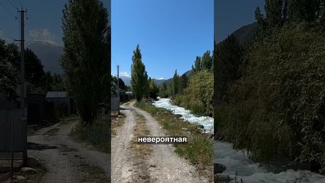 Узнал, сколько стоят участки в Бишкеке и офигел! Дороже чем в Москве! #бишкек #shorts смотреть онлайн