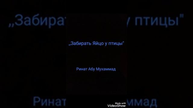 ,,Забирать Яйцо у птицы" Ринат Абу Мухаммад смотреть онлайн