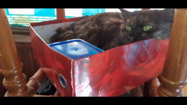 Хорошо живёт принцесса смотреть онлайн