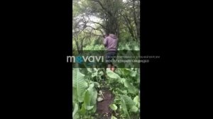 Канал НСТ самое страшное ТВ