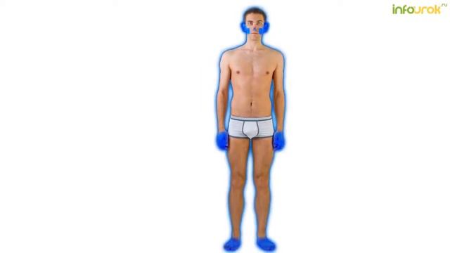 Безопасность жизни и здоровья в зимнее время   Классные часы и ОБЖ #16   Инфоурок