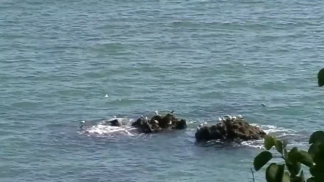 Болгария. Отдых на море. Балчик и мыс Калиакра.Экскурсия. 3 серия. смотреть онлайн