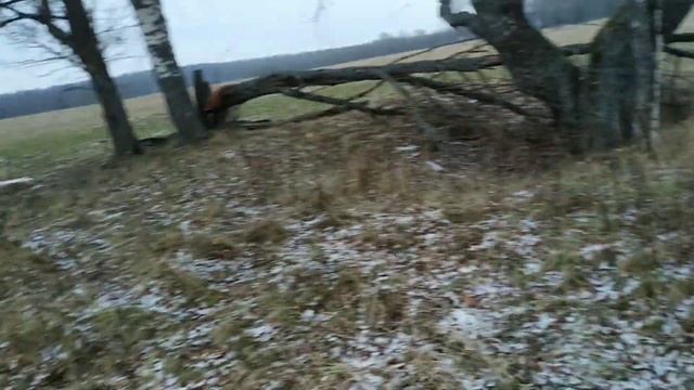 Коп, 2 дня одиночества в Тверской глуши смотреть онлайн
