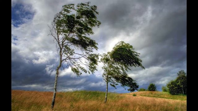 Заговор избавиться от плохой невестки смотреть онлайн