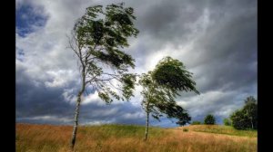 Заговор избавиться от плохой невестки