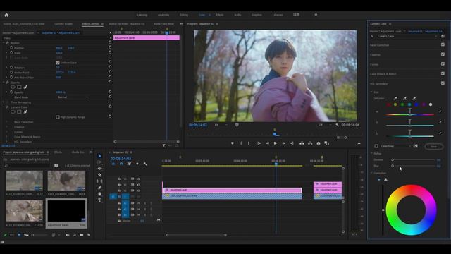 Tutorial cara simple Japanese/korean style color grading Adobe Premiere Pro смотреть онлайн