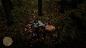 Red Dead Redemption II Западный лось самец место респауна