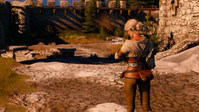 The Witcher 3: Wild Hunt - Пейзаж после битвы смотреть онлайн