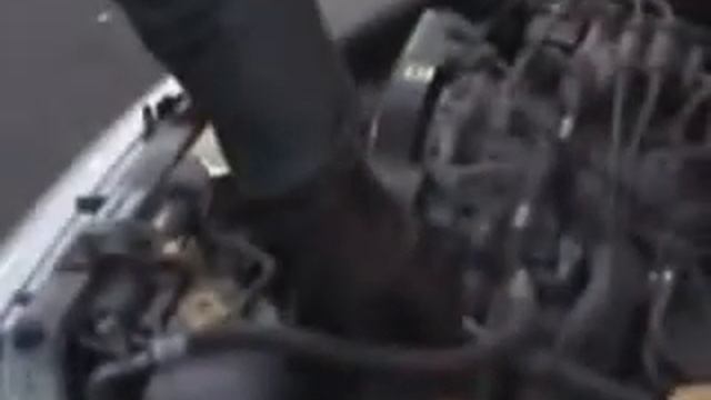 Домашние Хитрости