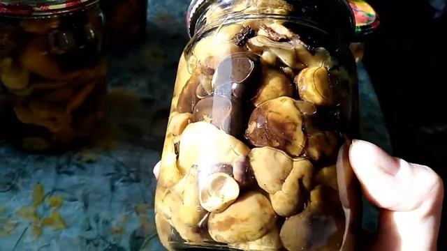 Маринованые грибы. Проверенный бабушкин рецепт. смотреть онлайн