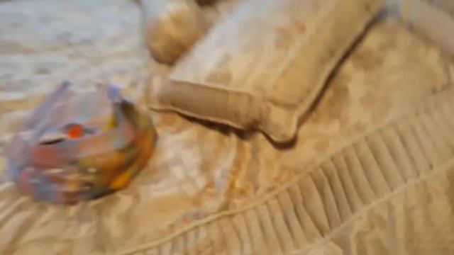 Мне очень скучно , хочу скозать что Неллька идёт писать а потом проходит 1 секунда и она опять смотреть онлайн