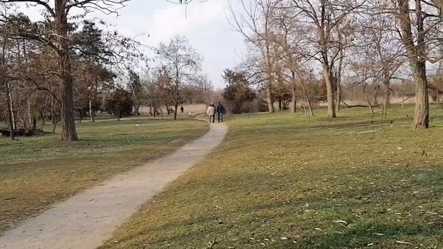 Природная зона отдыха в городской черте Анапы🐎🦆🥰 смотреть онлайн