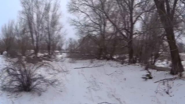 МНОГО ЗАЙЦА на развалинах. Заяц за зайцем. Охота на зайца. Февраль 2023 смотреть онлайн