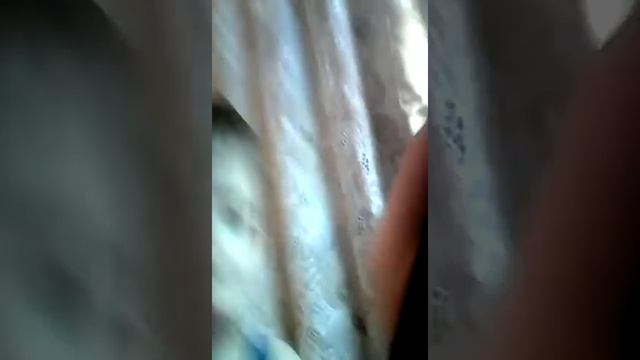 Мои поезда Р/Д РЖД смотреть онлайн