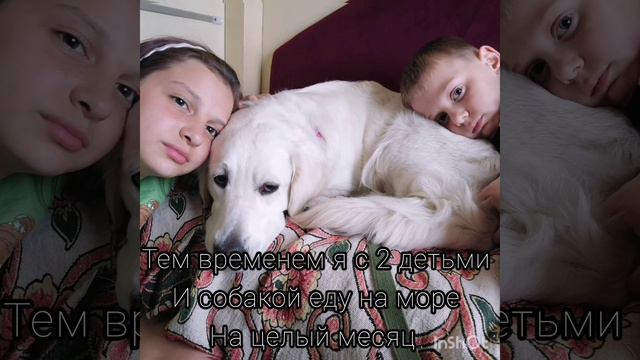 На море с собакой/на море с детьми /собака в поезде