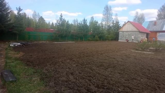 Сезонная КУЛЬТИВАЦИЯ земли и ПОСАДКА КАРТОФЕЛЯ смотреть онлайн