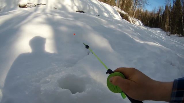 Апрельский Хариус в КОМИ. смотреть онлайн