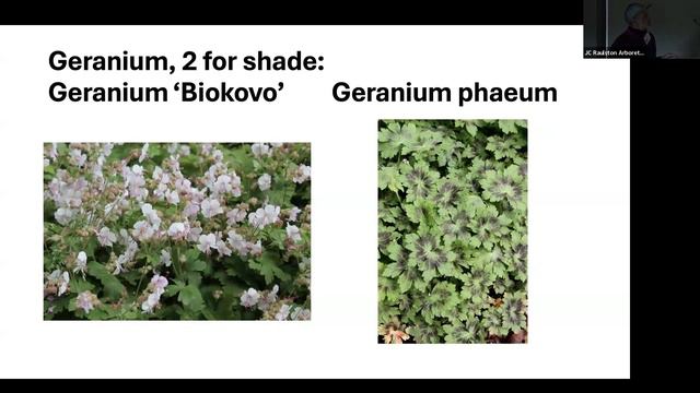 Intro to Gardening in the South - "A Perennial Primer" - Doug Ruhren смотреть онлайн