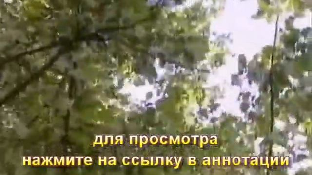 КЛАВДИЯ ШУЛЬЖЕНКО О чём шептал мне мой старый сад смотреть онлайн
