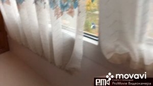 Штора(тюль)на откидную створку на балкон(лоджию).Самое простое решение.По совету зрительницы☺️