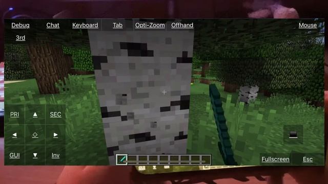 Playing Minecraft JAVA on IOS (iPhone X)! смотреть онлайн