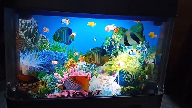 Аквариум клас!!!!!!!!!!!!!ночник