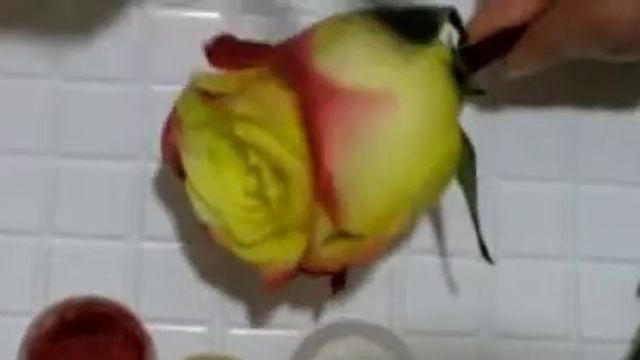 Цветочная вуаль смотреть онлайн