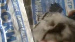 Ремонт лепесткового клапана мопеда (сузуки летс 2)