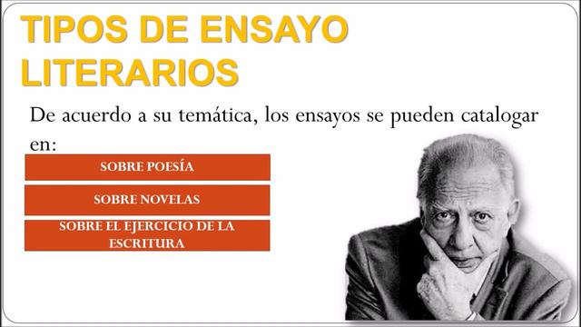 Literatura I - El Ensayo Literario смотреть онлайн